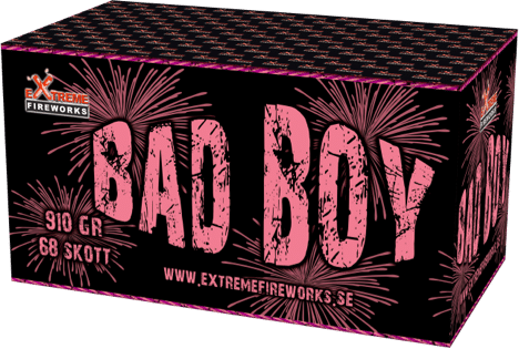 Bad Boy