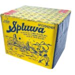 Spluwa